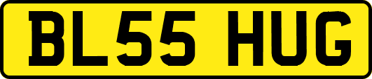 BL55HUG