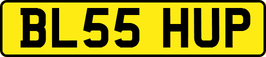 BL55HUP