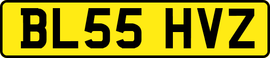 BL55HVZ