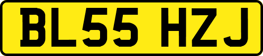 BL55HZJ