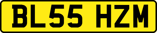 BL55HZM