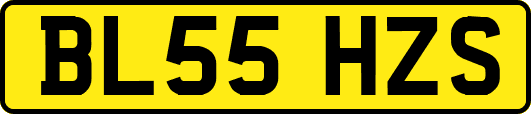 BL55HZS