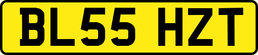 BL55HZT