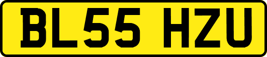 BL55HZU