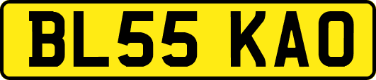 BL55KAO