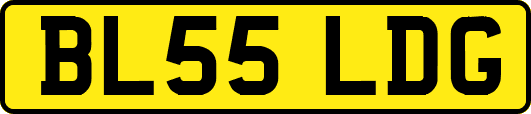 BL55LDG