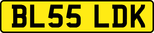BL55LDK