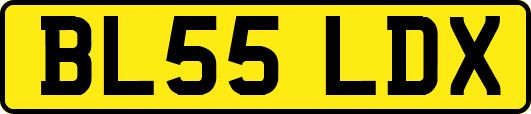 BL55LDX