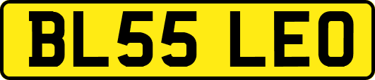 BL55LEO