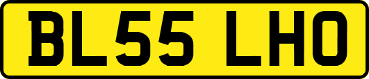 BL55LHO