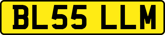 BL55LLM