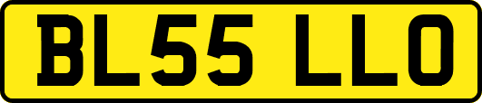 BL55LLO