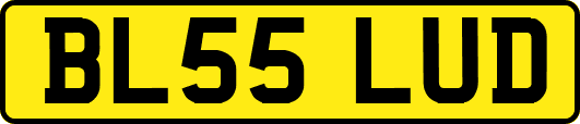BL55LUD