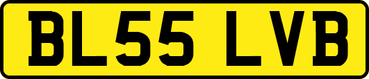 BL55LVB