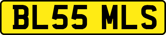 BL55MLS