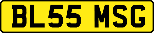 BL55MSG