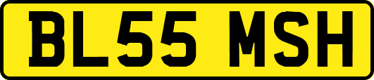 BL55MSH