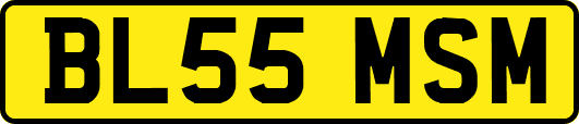 BL55MSM