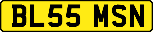 BL55MSN