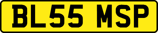 BL55MSP