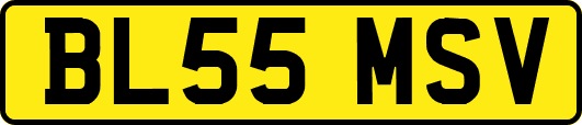 BL55MSV