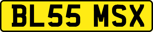 BL55MSX