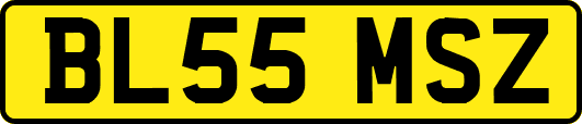BL55MSZ