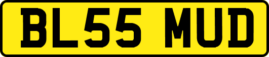 BL55MUD