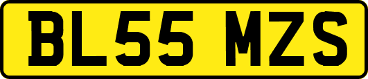 BL55MZS