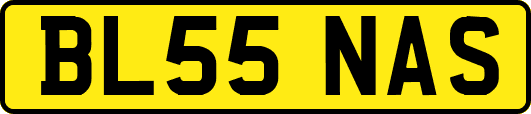 BL55NAS