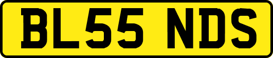 BL55NDS