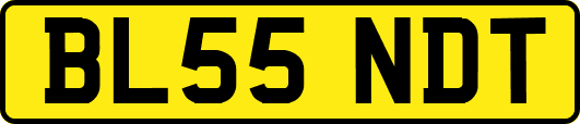 BL55NDT