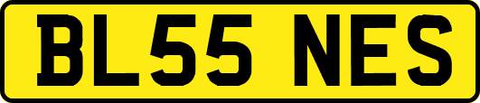 BL55NES