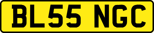 BL55NGC