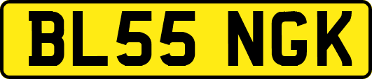 BL55NGK