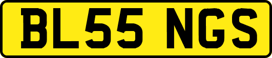 BL55NGS