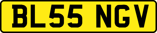 BL55NGV