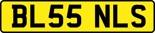 BL55NLS