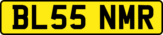 BL55NMR