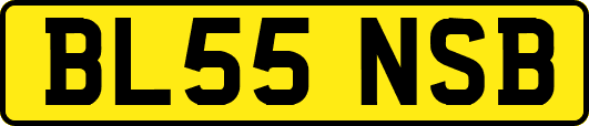 BL55NSB