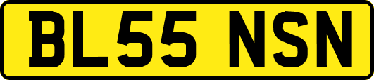 BL55NSN