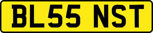 BL55NST