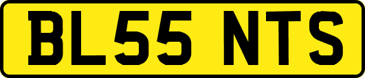 BL55NTS