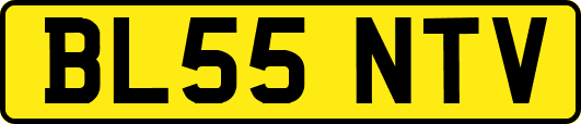 BL55NTV
