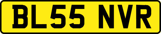 BL55NVR