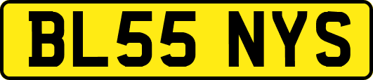 BL55NYS