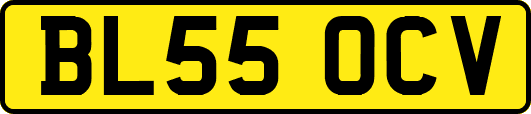 BL55OCV