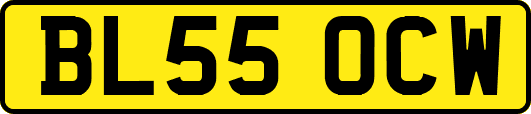 BL55OCW