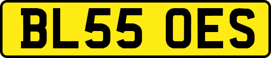 BL55OES