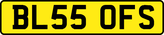 BL55OFS